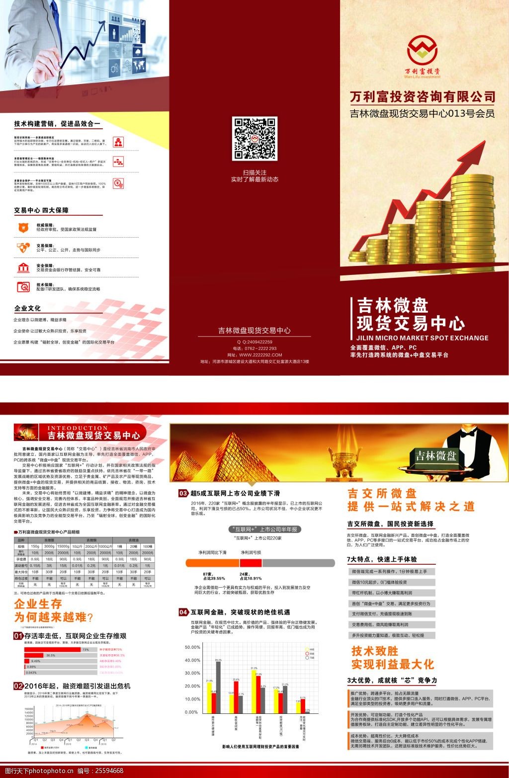 智赢未来 专业投资咨询，开启稳健增长之旅