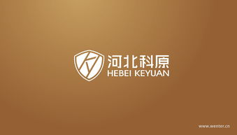 河北科原企业形象设计 平面设计的核心价值与实施策略